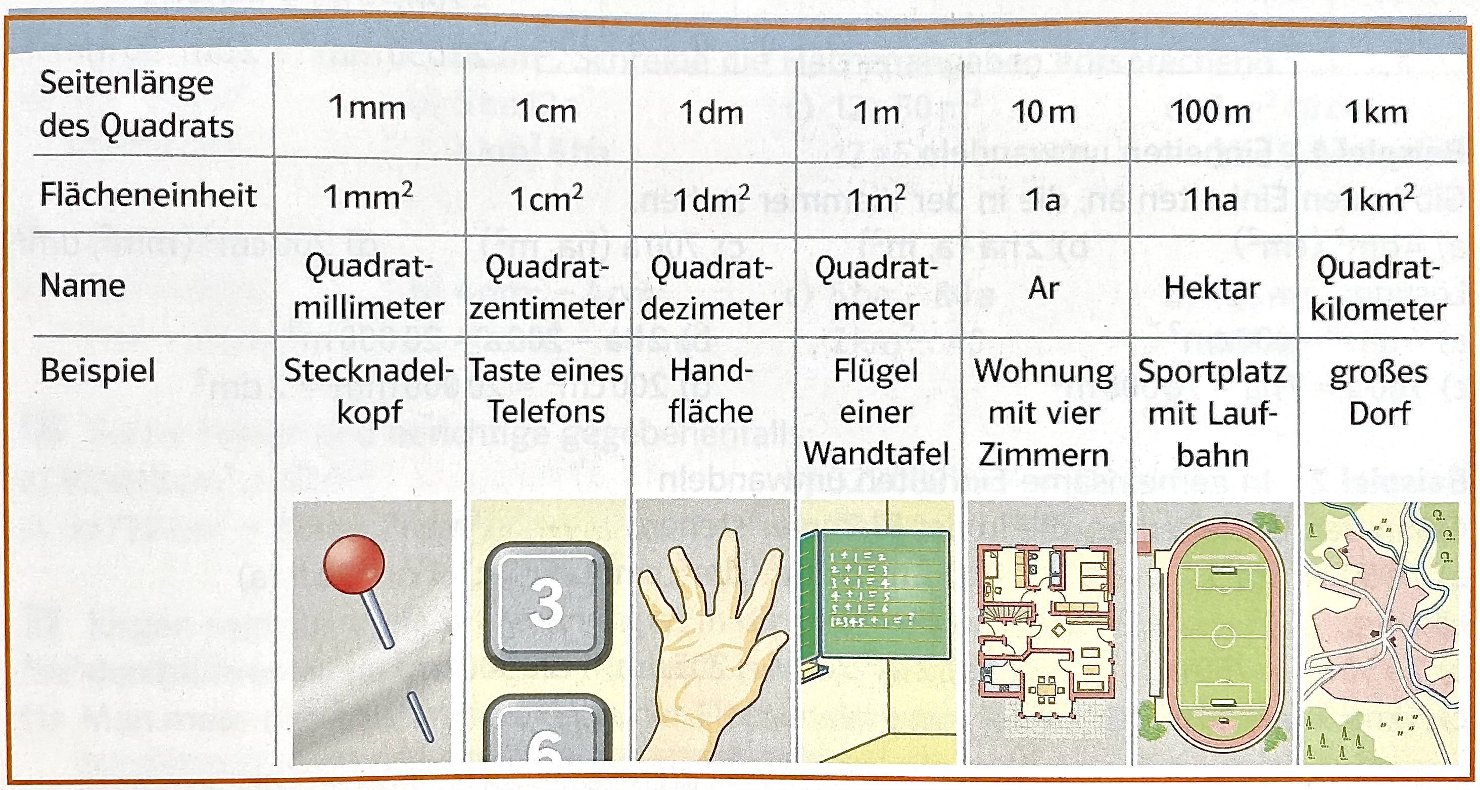 Standardeinheiten typischer Vergleichsflächen (Lambacher Schweizer Mathematik für Gymnasien. 5, Schülerbuch, 2010, S. 193)