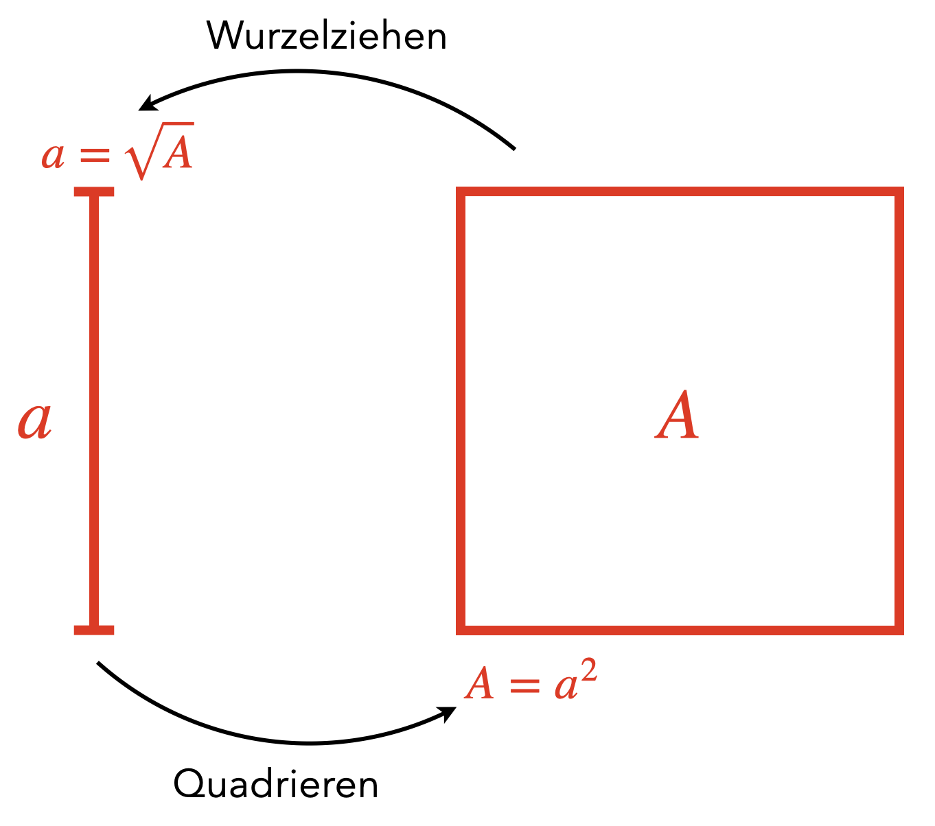 Veranschaulichung der Wurzel